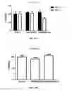 Fig. 46 - Polyamide nanoparticles and uses thereof