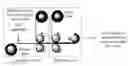 Fig. 01 - PRESSURE-SENSITIVE ADHESIVES BASED ON CARBOXYLIC ACIDS AND EPOXIDES