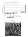Fig. 08 - Culture medium composition