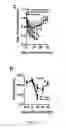 Fig. 09 - Biophysically sorted osteoprogenitors from culture expanded bone marrow derived mesenchymal stromal cells (MSCs)