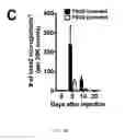 Fig. 45 - Biophysically sorted osteoprogenitors from culture expanded bone marrow derived mesenchymal stromal cells (MSCs)