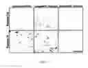 Fig. 49 - Biophysically sorted osteoprogenitors from culture expanded bone marrow derived mesenchymal stromal cells (MSCs)