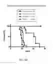 Fig. 07 - Chimeric alkaline phosphatase-like proteins