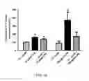 Fig. 23 - Chimeric alkaline phosphatase-like proteins