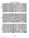 Fig. 28 - Chimeric alkaline phosphatase-like proteins