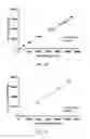 Fig. 30 - Chimeric alkaline phosphatase-like proteins