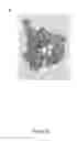 Fig. 44 - BIOLOGICAL MATERIALS AND THERAPEUTIC USES THEREOF