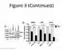 Fig. 06 - Methods used to treat cancer