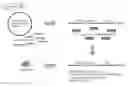 Fig. 01 - Compositions and methods for inhibition of nucleic acids function