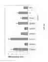 Fig. 15 - Compositions and methods for inhibition of nucleic acids function