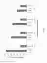 Fig. 33 - Compositions and methods for inhibition of nucleic acids function