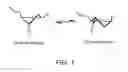 Fig. 02 - Short interfering RNA (siRNA) analogues
