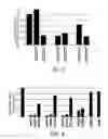 Fig. 04 - Short interfering RNA (siRNA) analogues