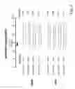 Fig. 07 - Short interfering RNA (siRNA) analogues