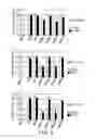 Fig. 09 - Short interfering RNA (siRNA) analogues