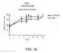 Fig. 19 - Short interfering RNA (siRNA) analogues
