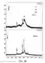 Fig. 20 - Short interfering RNA (siRNA) analogues