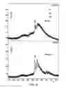 Fig. 21 - Short interfering RNA (siRNA) analogues