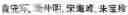 Fig. 02 - System of interdependent anticancer antisense oligonucleotides targeting mRNAs the targets of which are NADPH-dependent, combined with one or more inhibitors of the Pentose Phosphate Pathway to deplete NADPH