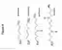 Fig. 05 - RNA interference in skin indications