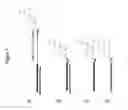 Fig. 08 - RNA interference in skin indications
