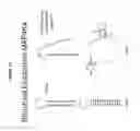 Fig. 14 - RNA interference in skin indications