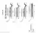Fig. 47 - RNA interference in skin indications