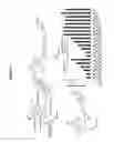 Fig. 55 - RNA interference in skin indications