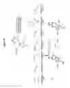 Fig. 79 - RNA interference in skin indications