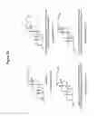 Fig. 80 - RNA interference in skin indications