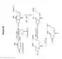 Fig. 84 - RNA interference in skin indications