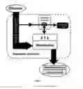 Fig. 02 - Metabolic transistor in bacteria
