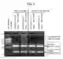Fig. 04 - Method for preparing DNA unit composition, and method for creating concatenated DNA