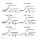 Fig. 23 - Method for preparing DNA unit composition, and method for creating concatenated DNA