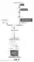 Fig. 10 - Means and methods for regulating secondary metabolite production in plants