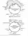Fig. 09 - BIOCONTROL