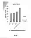 Fig. 07 - Enhancement of lignocellulose saccharification via a low temperature ionic liquid pre-treatment scheme