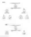 Fig. 09 - GENETIC RESISTANCE TESTING