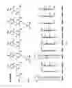 Fig. 07 - Compositions and methods for recognition of RNA using triple helix forming peptide nucleic acids