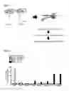 Fig. 06 - METHODS AND KITS USED IN IDENTIFYING MICRORNA TARGETS