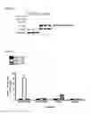 Fig. 08 - METHODS AND KITS USED IN IDENTIFYING MICRORNA TARGETS
