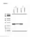Fig. 09 - METHODS AND KITS USED IN IDENTIFYING MICRORNA TARGETS