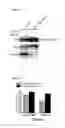Fig. 10 - METHODS AND KITS USED IN IDENTIFYING MICRORNA TARGETS