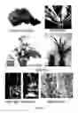 Fig. 02 - Plants with useful traits and related methods