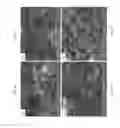 Fig. 07 - Electrode material for electrolytic hydrogen generation