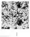 Fig. 10 - EGCG STABILIZED PD NANOPARTICLES, METHOD FOR MAKING, AND ELECTROCHEMICAL CELL
