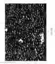 Fig. 22 - EGCG STABILIZED PD NANOPARTICLES, METHOD FOR MAKING, AND ELECTROCHEMICAL CELL