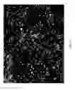 Fig. 30 - EGCG STABILIZED PD NANOPARTICLES, METHOD FOR MAKING, AND ELECTROCHEMICAL CELL