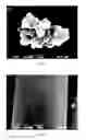 Fig. 04 - FABRIC WITH SURFACE COOLING FUNCTION AND PREPARATION METHOD THEREFOR