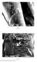 Fig. 05 - FABRIC WITH SURFACE COOLING FUNCTION AND PREPARATION METHOD THEREFOR